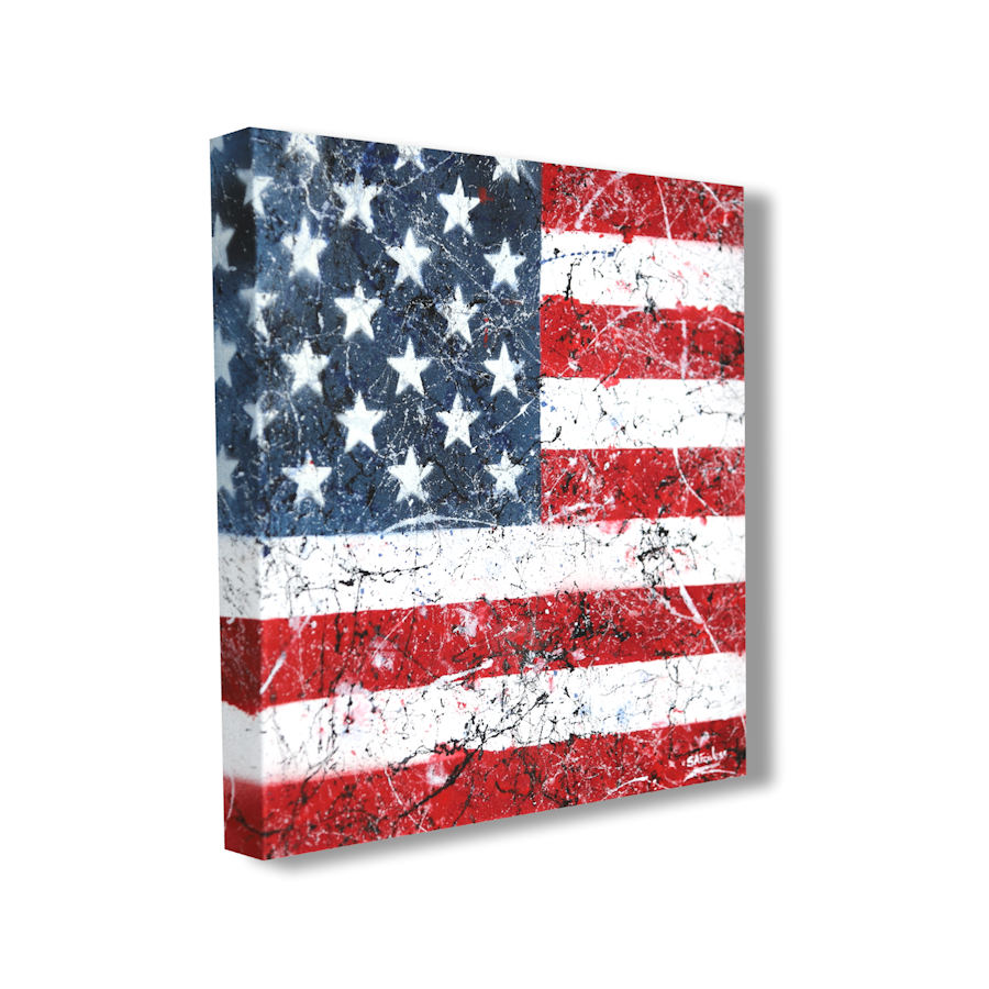 American Flag art