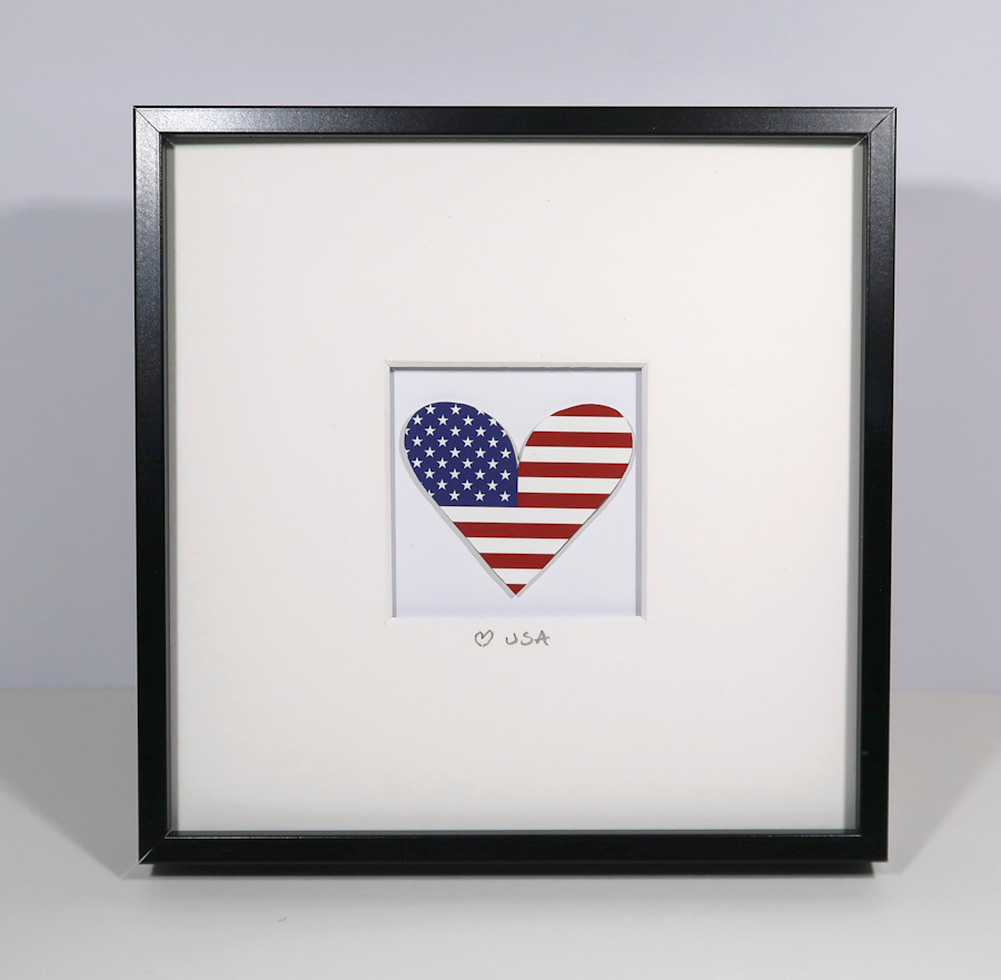 American flag print