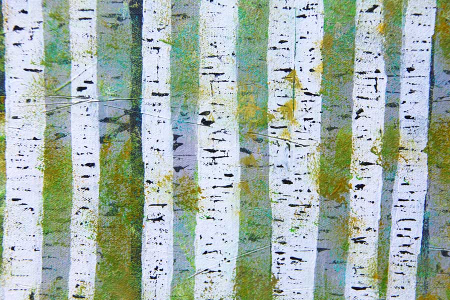 silver birch painting spring