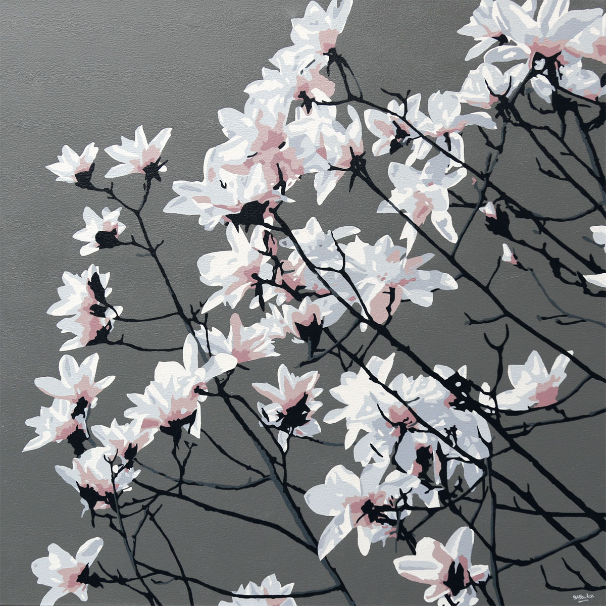 White blossom image