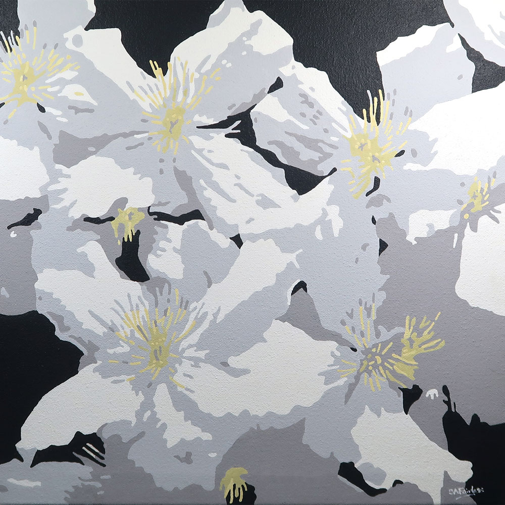 White Clematis painting